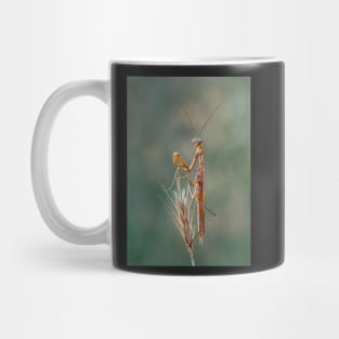 European Praying Mantis Mug